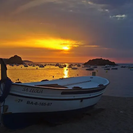 Lets Holidays The View In Tossa *